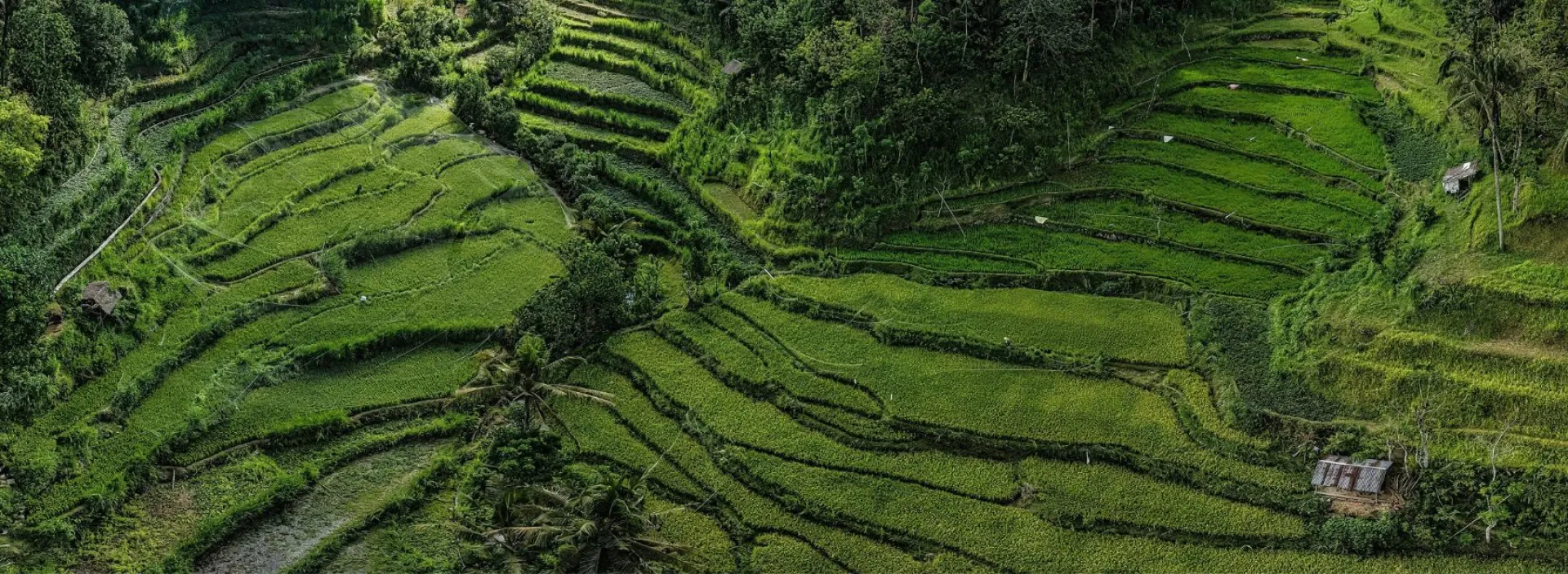 Bali landscape